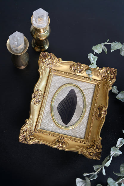Black Wing in Gold Frame