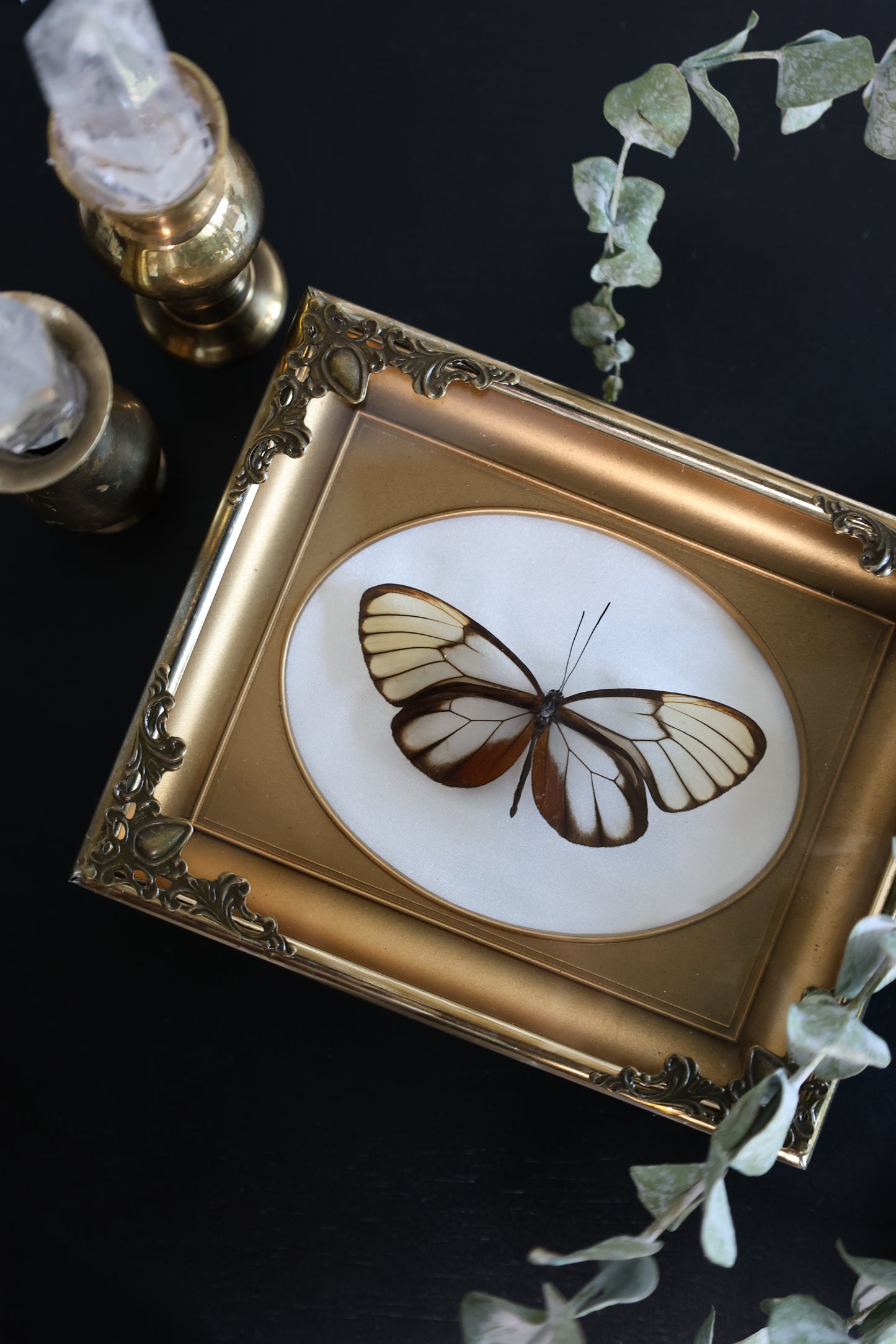 Glass Wings in Gold Frame