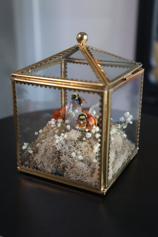 Honey Bee Small Terrarium