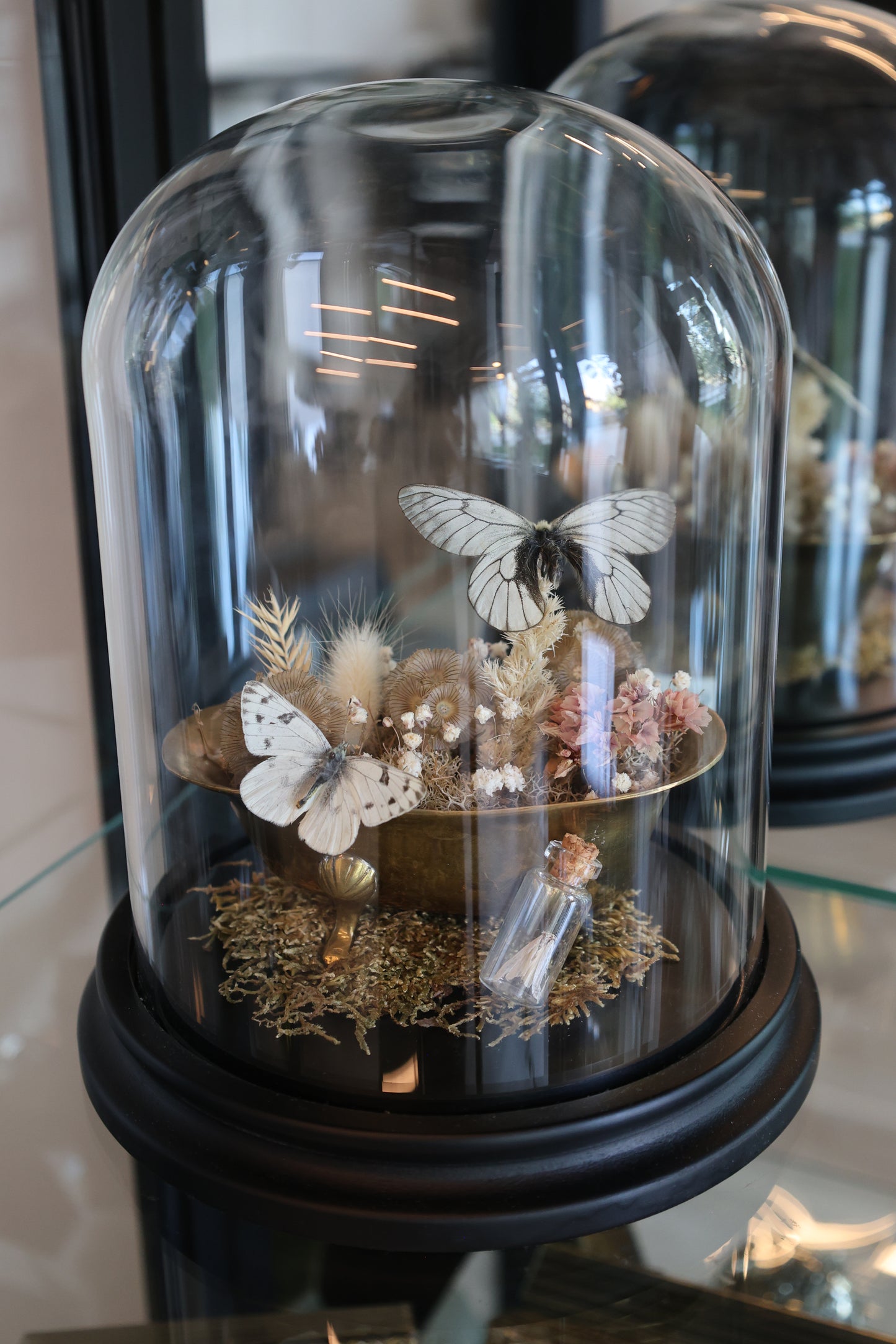 Brass Bathtub Butterfly Dome