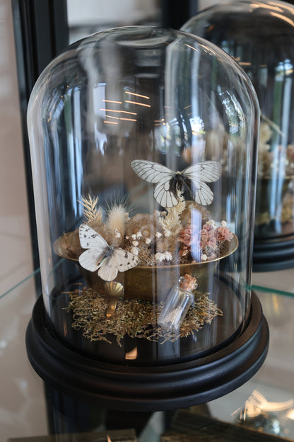 Brass Bathtub Butterfly Dome