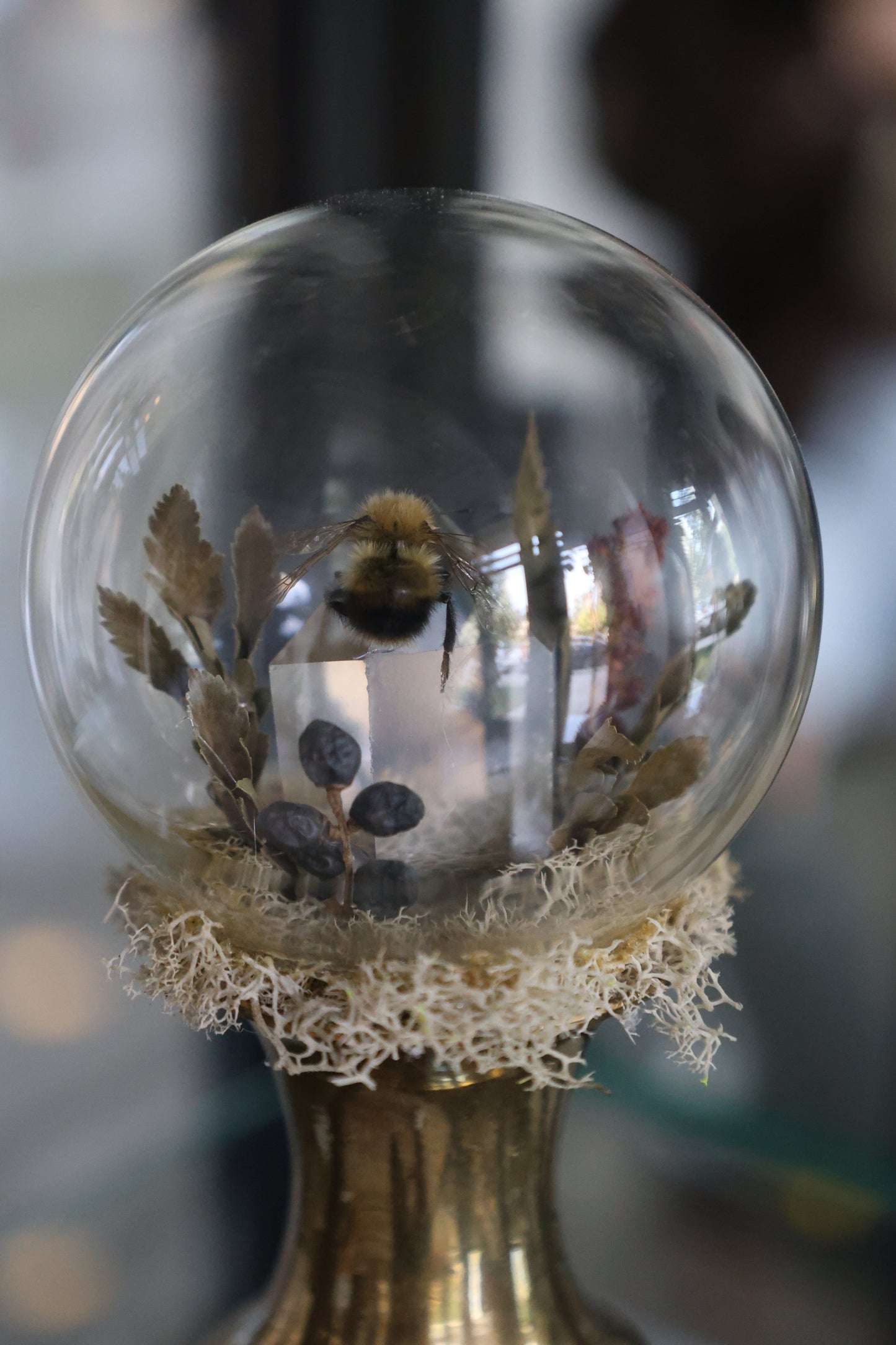 Mini Honey Bee Dome (high grade quartz)