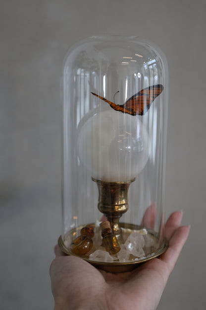Selenite Sphere on Brass Stand Dome